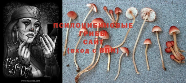 мяу мяу мука Абинск