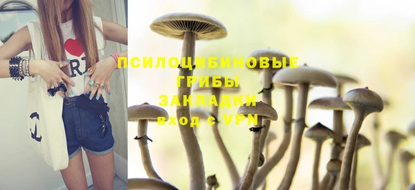 мяу мяу мука Абинск