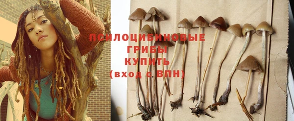a pvp Абдулино